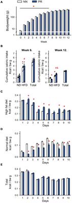 Hypothalamic Nesfatin-1 Resistance May Underlie the Development of Type 2 Diabetes Mellitus in Maternally Undernourished Non-obese Rats